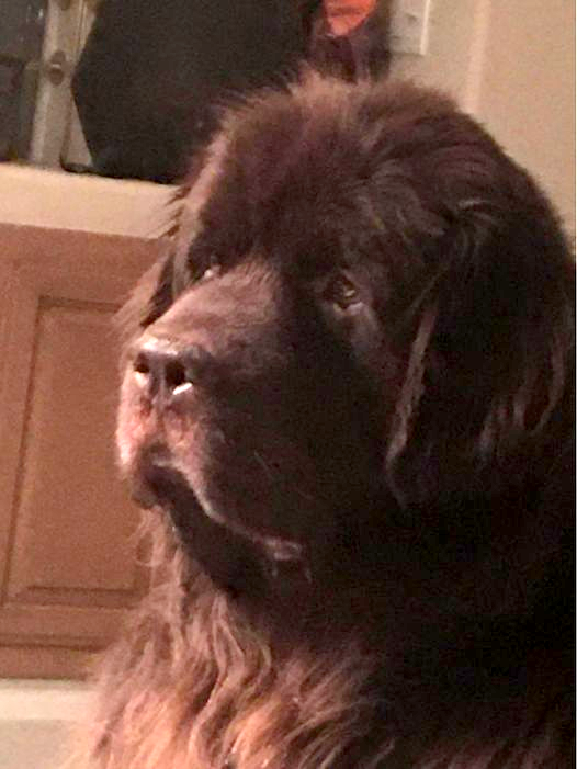 Jackson